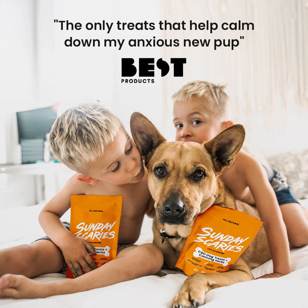 Dog Treats: 30-Day Trial - Image 7
